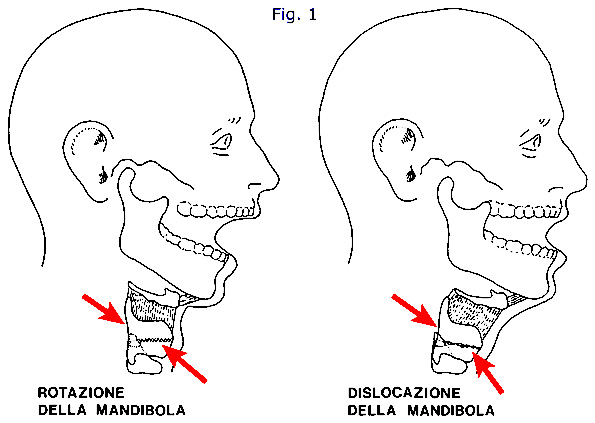 Comportamento articolatorio della mandibola