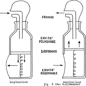 fig2.gif (22k)